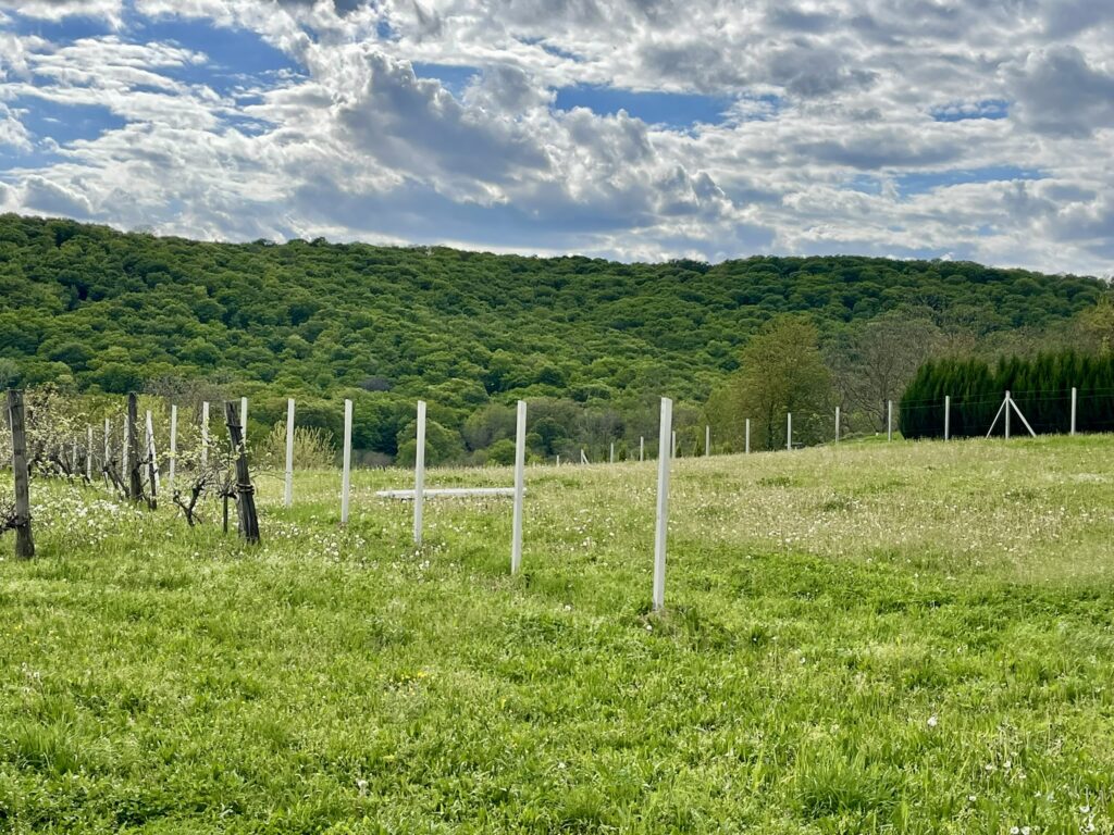 Telek panorámás 7,9 MHuf